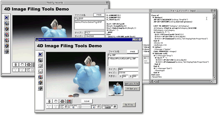4D Image Filing Tools
